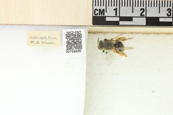 Media type: image;   Entomology 768690 Aspect: Labels